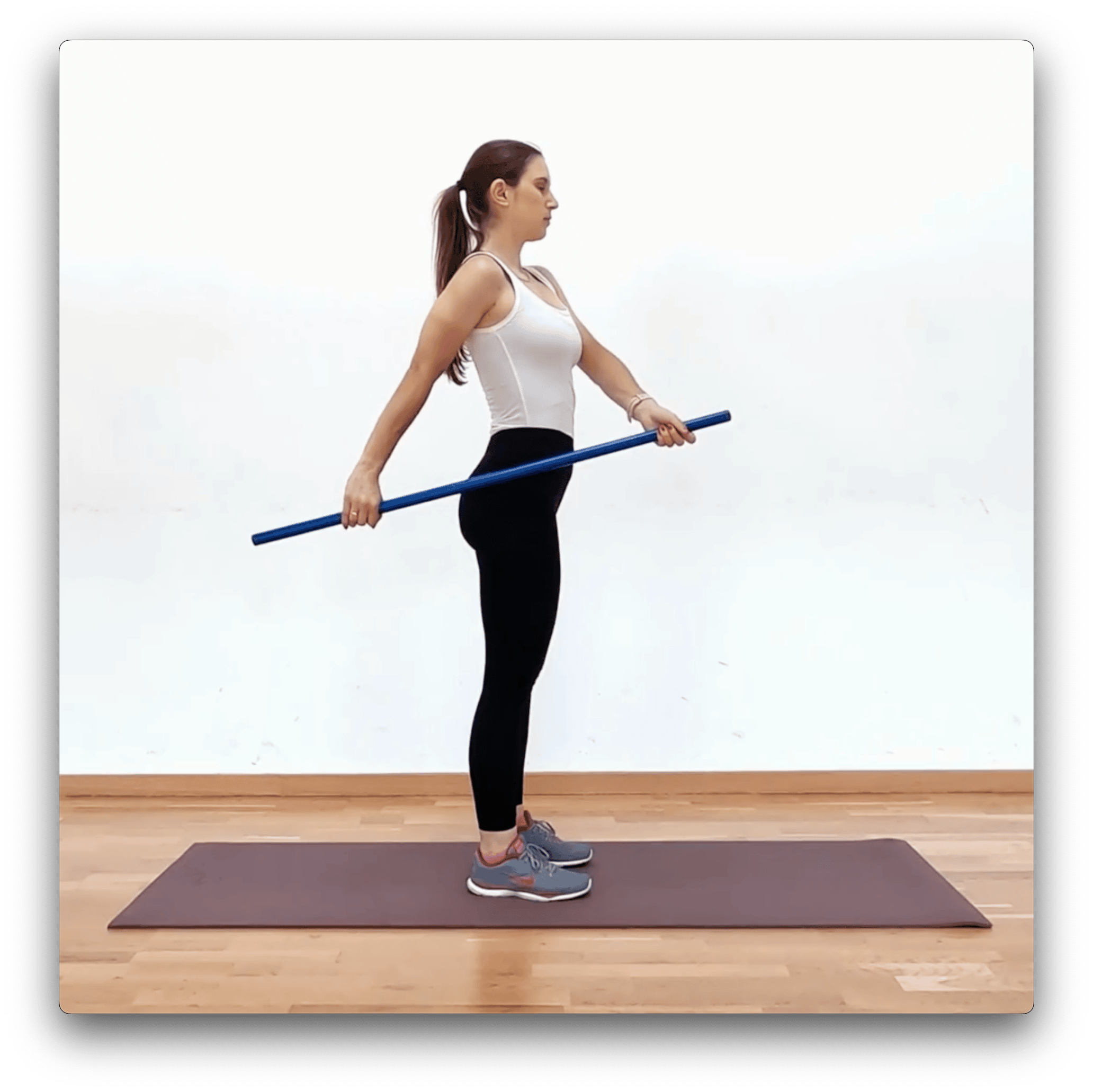 Assisted Shoulder Extension Exercise