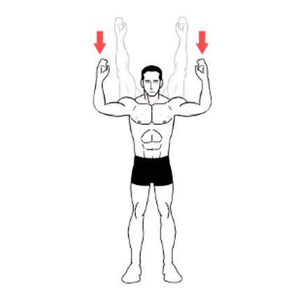 Strength exercises for shoulder bursitis - diagram shows a person with their back to the wall, moving both arms up and down gently, keeping forearms parallel to each other and perpendicular to the floor. 